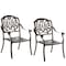 Gardenised Indoor and Outdoor Bronze Dinning Set 2 Chairs Cast Aluminum. QI003959CH.2 - alternate 1